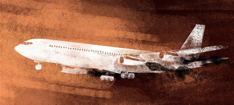 جان‌باختگان سانحه هواپیمای اوکراینی در حکم شهید محسوب می‌شوند