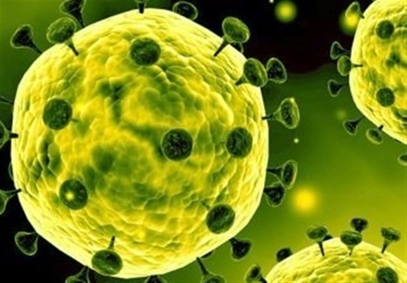 هیچ موردی از ابتلا به کرونا ویروس در فارس مشاهده نشده است