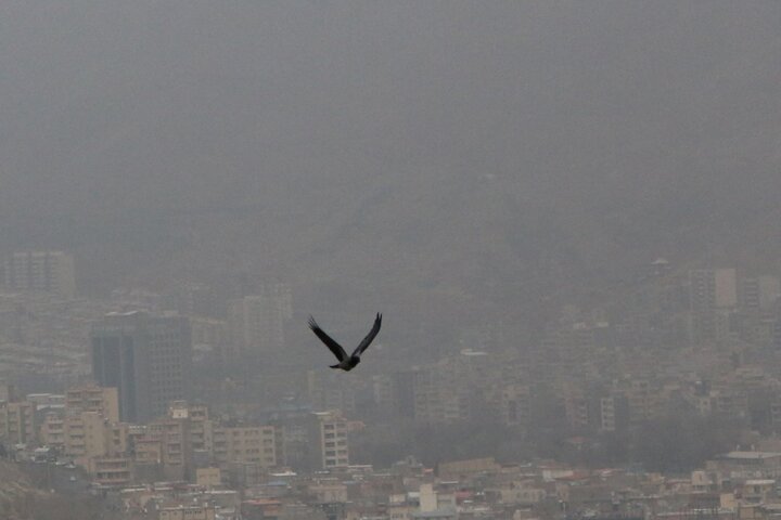 هوای شهرستان‌های غربی کرمانشاه در وضعیت بحرانی قرار گرفت