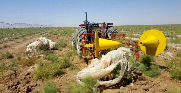 استقاده از مالچ پلاستیکی در مزارع کشاورزی قزوین مدیریت شود