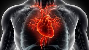 توصیه های متخصص فیزیولوژی ورزشی قلب عروق و تنفس برای انجام تمرین های ورزشی به صورت انفرادی و توسعه سیستم ایمنی بدن