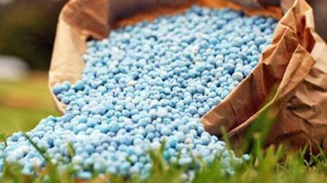 آخرین فرصت توزیع ۱۷۴۰ تن کود ازته محصولات شتوی در شهرستان ارسنجان
