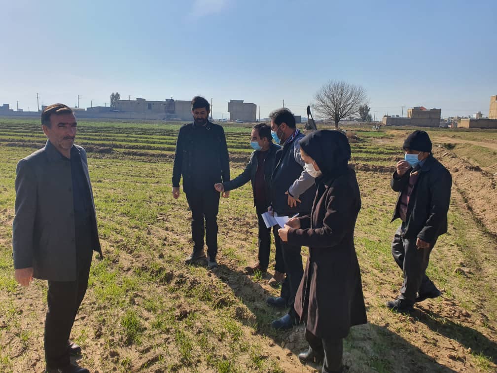 آموزش و ترویج کشاورزی در شیرازبارعایت پروتکلهای بهداشتی جریان دارد