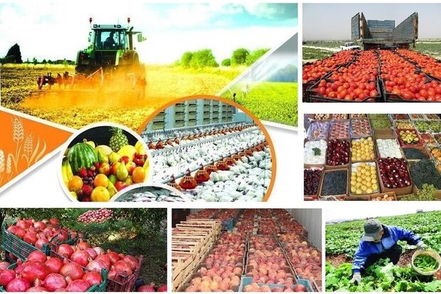 اعتبار ملی۱۱۰ میلیارد ریال به بخش عمرانی پروژه های ملی کشاورزی استان فارس