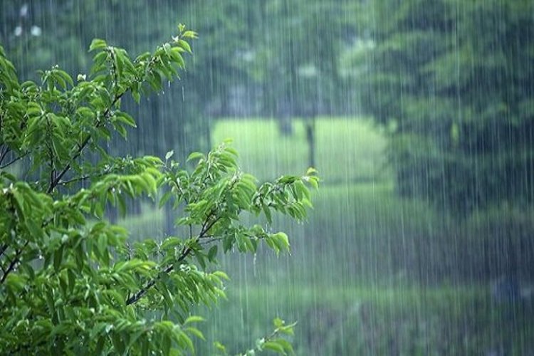 بارش باران و وزش باددر ۲۸ استان کشور