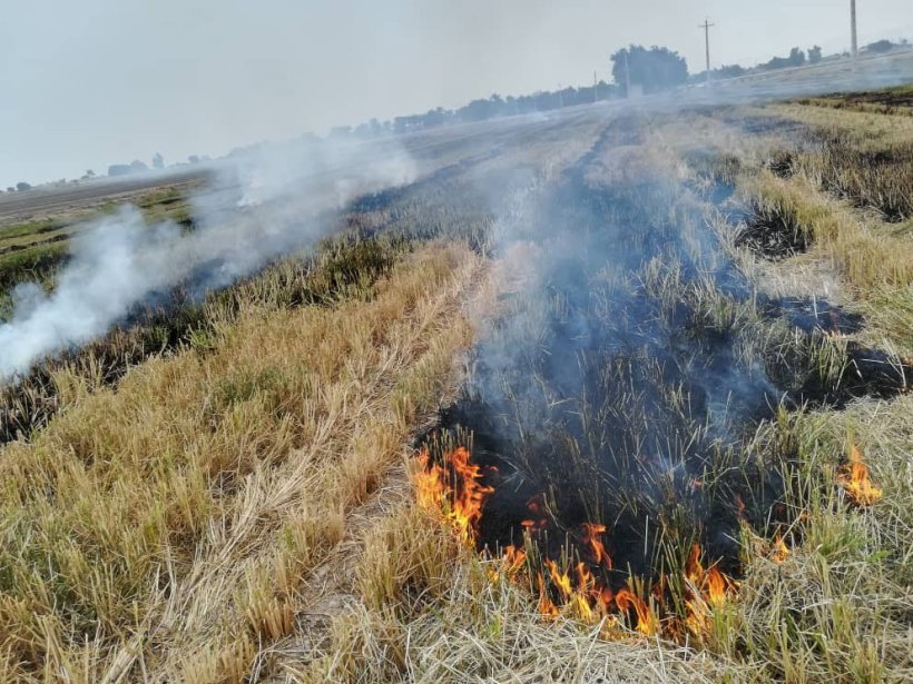 آتش‌سوزی کاه و کلش توسط۱۷ کشاورز ومعرفی آنهابه محاکم قضایی