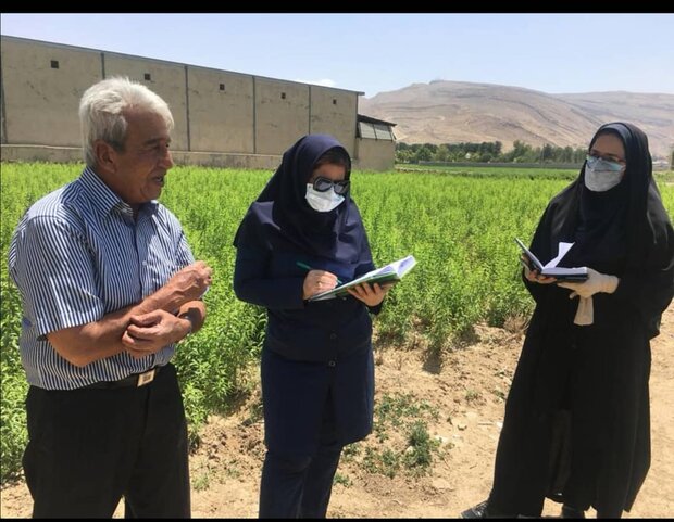 نسخه‌ نویسی گیاه‌پزشکی در کلینیک‌هابرای نخستین ‌بار در استان