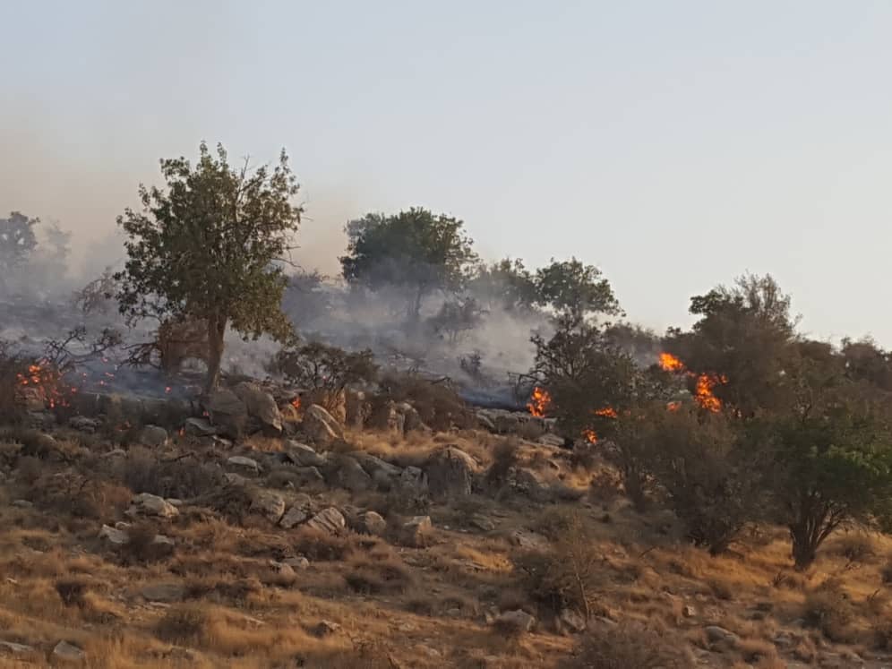 اراضی منابع طبیعی در کوه‌های قبله نی‌ریز در آتش سوخت
