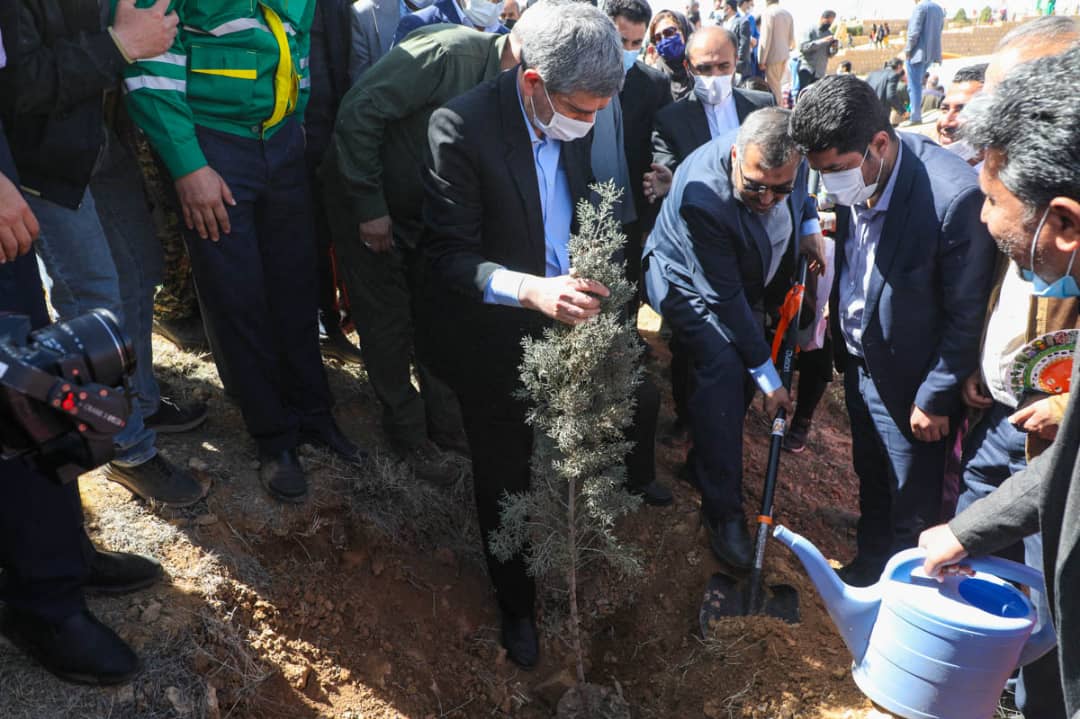 بزرگداشت روز ملی درختکاری در شیراز برگزار شد