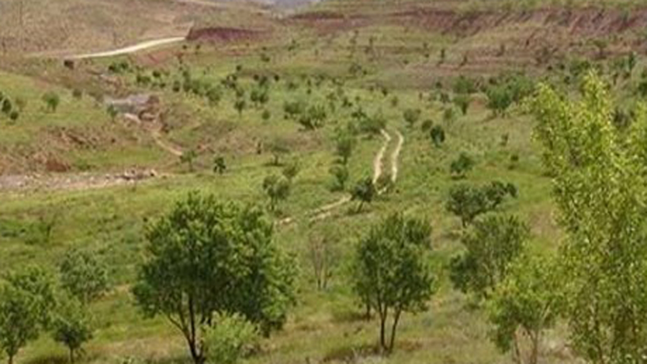 پرداخت مبلغ ۱۷۴میلیون برای توسعه و ارتقاء باغ‌ها در اراضی شیب‌دار دیم