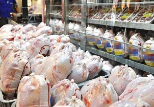 توزیع مرغ منجمد با هدف تنظیم بازار در لارستان