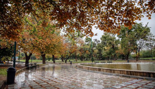 عکس پاییزی شیراز