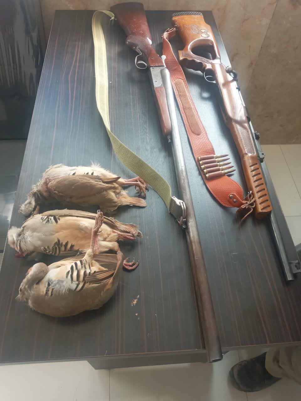 کشف وضبط دو قبضه اسلحه در شهرستان سرچهان