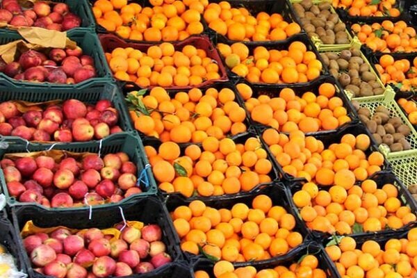 توزیع میوه طرح تنظیم بازار استان فارس آغاز شد