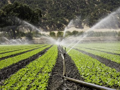 حفظ منابع آبی فارس با بهره گیری از سامانه های نوین آبیاری