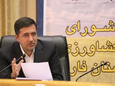 خرید حمایتی دولت؛ کاهش دغدغه مندی تولیدکنندگان حوزه دام و طیور