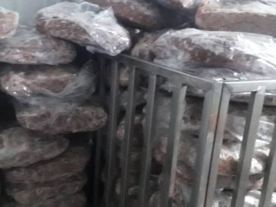 ناکامی سودجویان در تبدیل گوشت فاسد به فرآورده گوشتی در کازرون