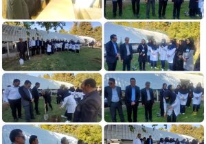 دستان پرستاران در روز پرستار بر زخم زمین مرحم گذاشت