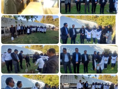 دستان پرستاران در روز پرستار بر زخم زمین مرحم گذاشت