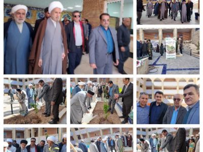 کاشت ۷۰۰ هزار نهال در پیرامون شیراز؛ وعده نماینده ولی‌فقیه برای سرسبزی کلانشهر
