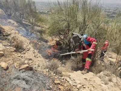 مهار حریق در ارتفاعات باباکوهی با تلاش آتشنشانان شیراز