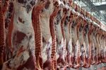 افتتاح دومین زنجیره مدرن تولید گوشت قرمز در استان فارس
