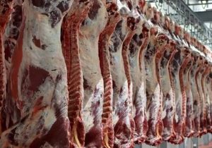 افتتاح دومین زنجیره مدرن تولید گوشت قرمز در استان فارس