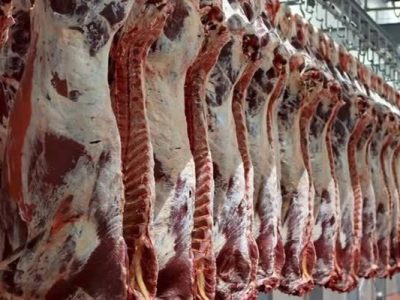 افتتاح دومین زنجیره مدرن تولید گوشت قرمز در استان فارس