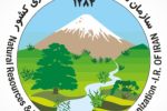 ایجاد همدلی و تعامل سازنده رمز موفقیت فارس در کاهش تعداد و مساحت حریق