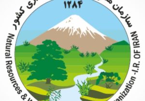 ایجاد همدلی و تعامل سازنده رمز موفقیت فارس در کاهش تعداد و مساحت حریق